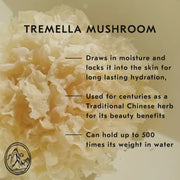 The Mount Lai Tremella Tonic Activating Essence Mist