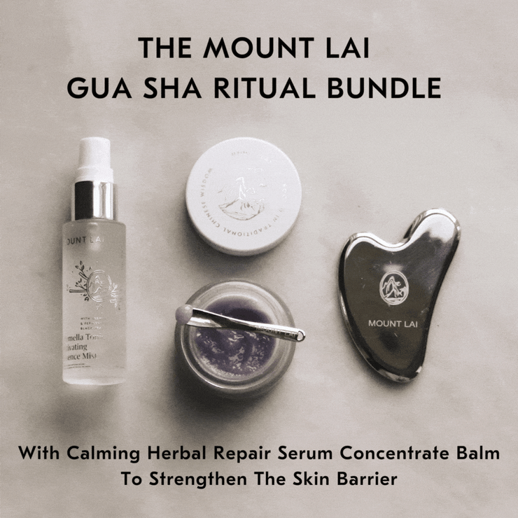 The Mount Lai Gua Sha Ritual Bundle in Stainless Steel
